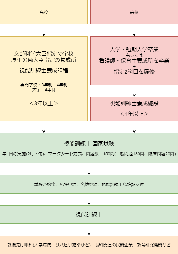 視能訓練士になるには・資格取得までの流れ