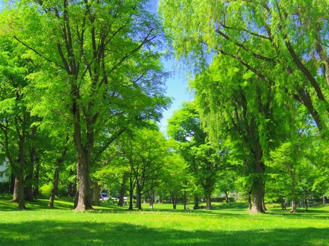 理学療法士の専門学校・大学一覧【徳島県（四国）】