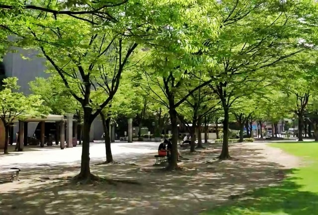 理学療法士の専門学校・大学一覧【大分県（九州）】