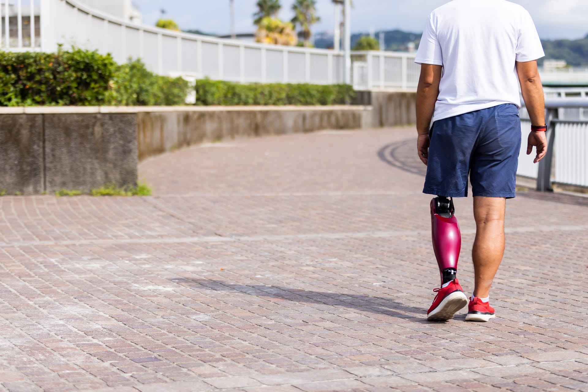 義肢装具士国家試験の合格発表・日程・問題数など【2026/第39回】